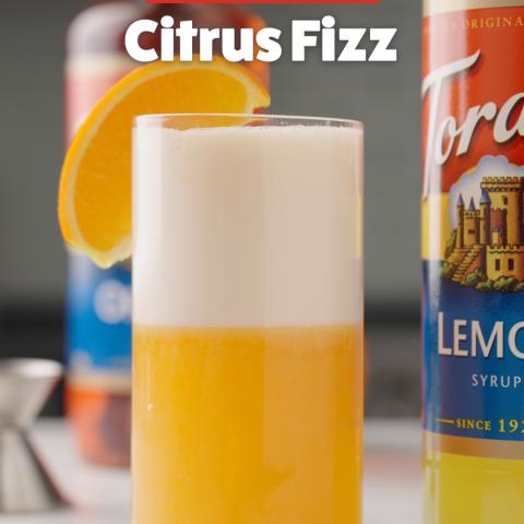 Citrus Fizz Mocktail>